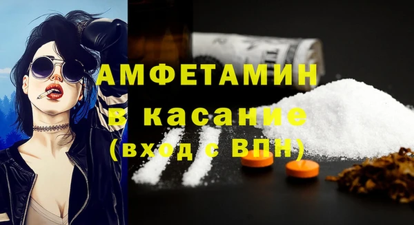 ГАЛЛЮЦИНОГЕННЫЕ ГРИБЫ Абаза